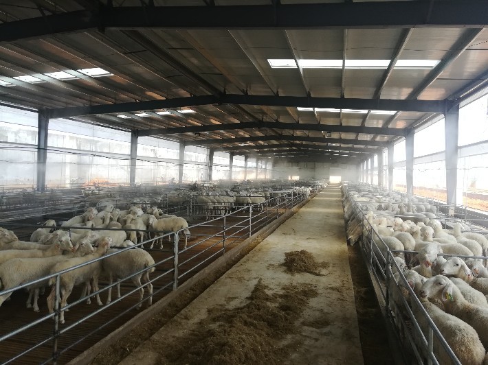 養(yǎng)殖廢氣處理方案